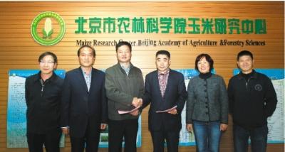 丰乐种业最新消息,丰乐种业最新消息，引领农业科技创新，塑造未来农业新格局