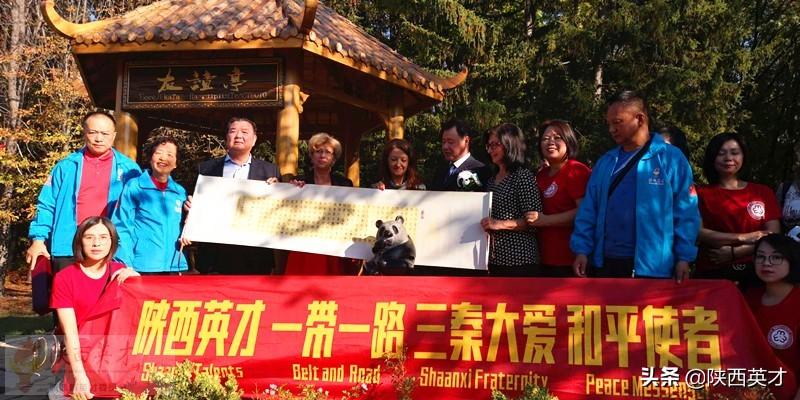 心连心复合肥最新价格获取指南，了解最新价格动态