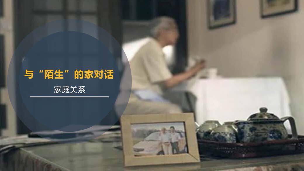诺一最新视频，日常趣事与朋友间的温馨纽带时光纪实