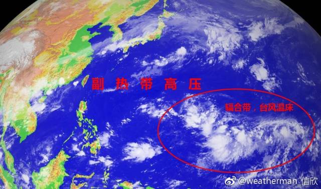 台风最新动态，实时追踪台风位置与最新消息