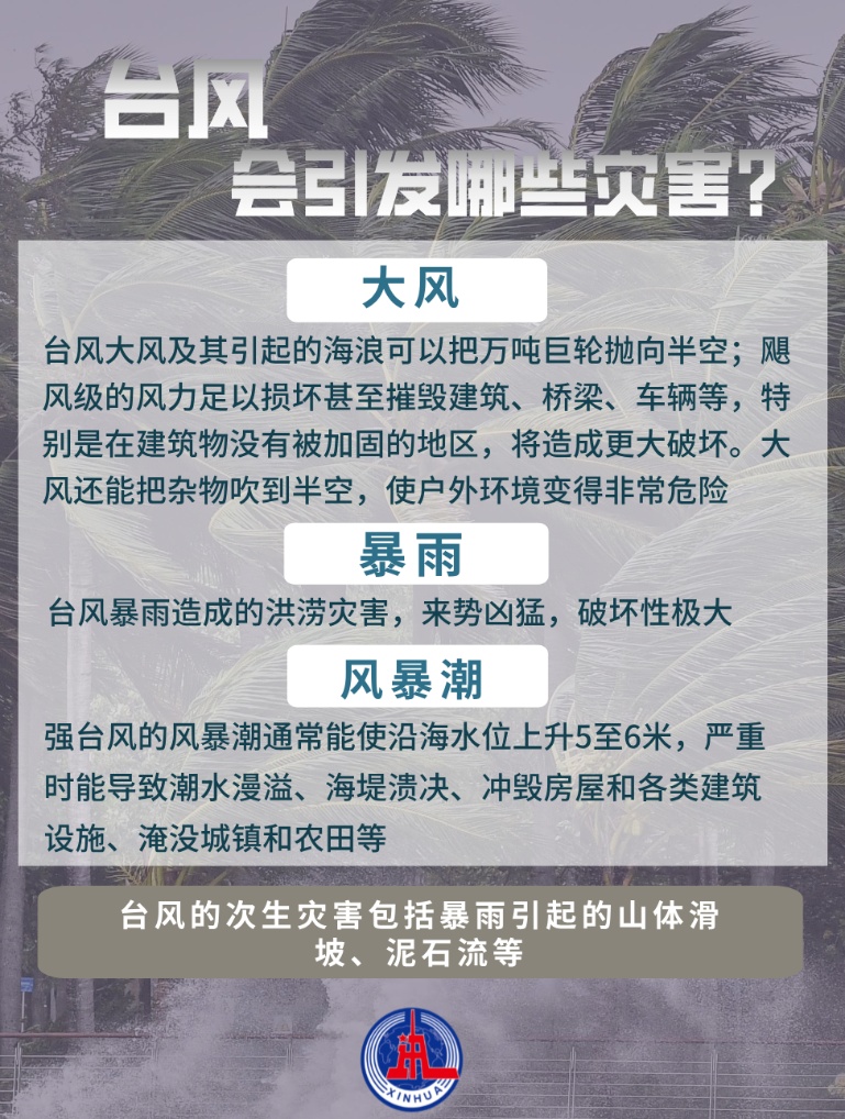 最新台风动态，全面报道台风最新消息
