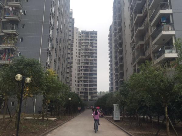 达州渠县新闻最新动态更新
