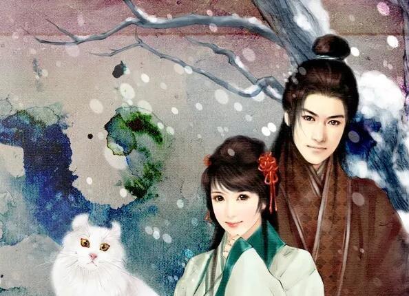 权臣闲妻最新章节揭秘，背景、事件与地位全解析