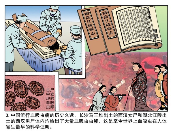 最新漫画岛，背景、重大事件与时代地位探究