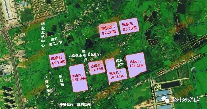 汊河镇最新动态概览