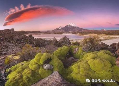 谭仁林最新自然探索之旅，寻找内心的宁静与平和