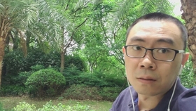 Tes最新复盘，自然美景之旅，重拾内心的宁静与平和