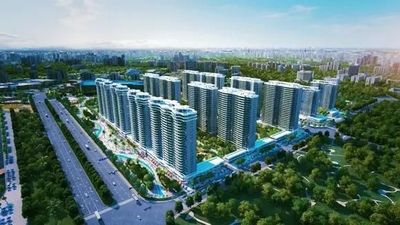 君悦南湾最新动态更新