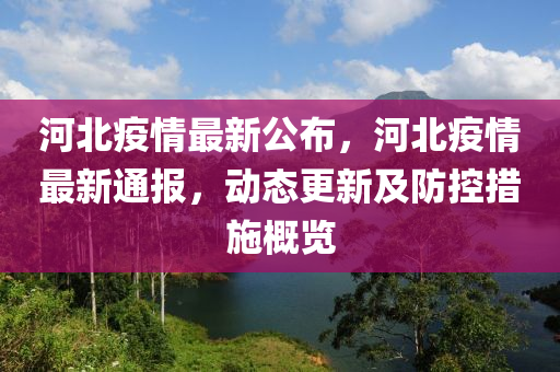 河北疫情最新动态更新