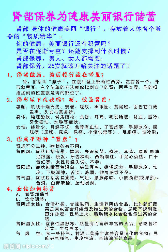 最新肾部保养方法与观点论述