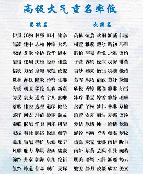 最新搞笑名字观点论述，名字中的幽默元素探讨