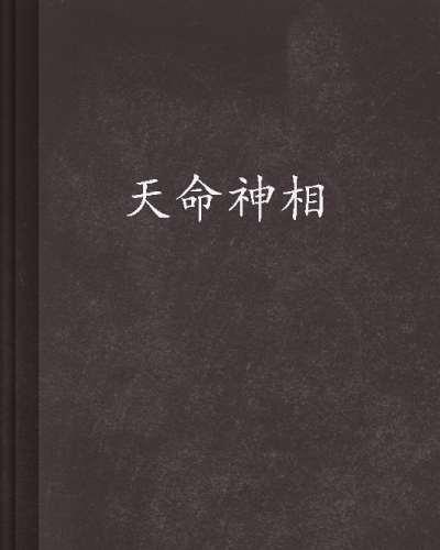 揭秘命运之轮下的神秘力量，天命神相最新解读