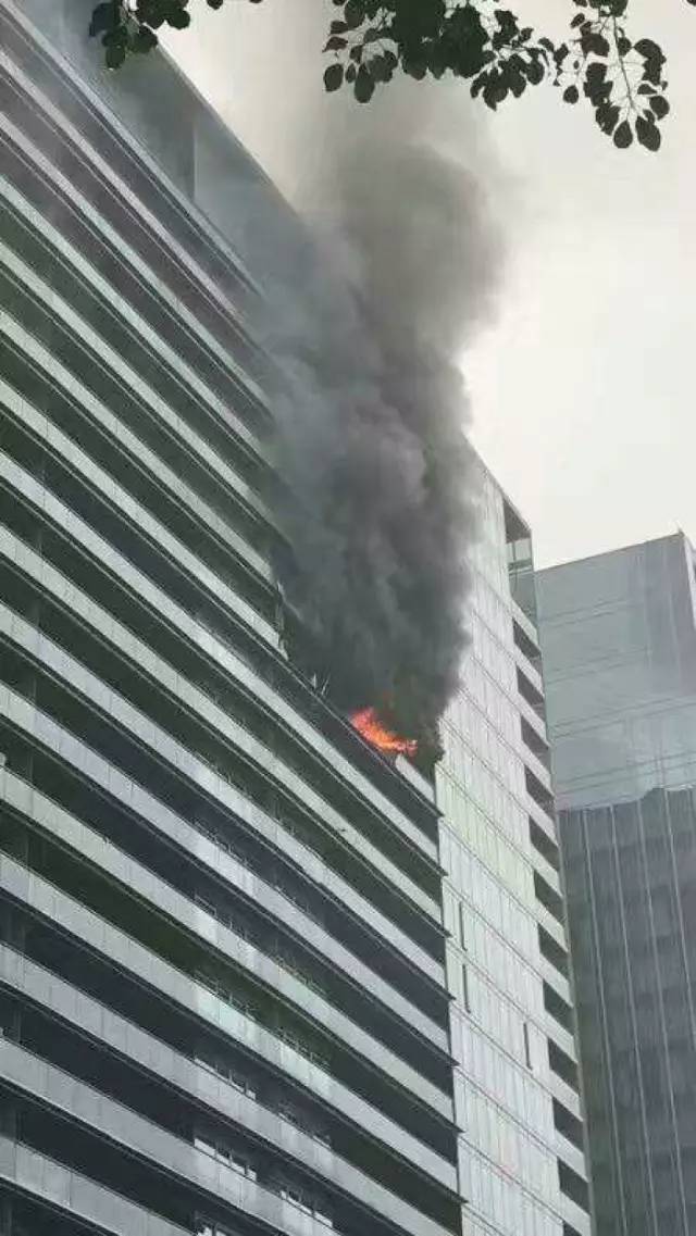蓝色钱江大火的最新进展，与自然美景的邂逅与寻找内心平和的旅程