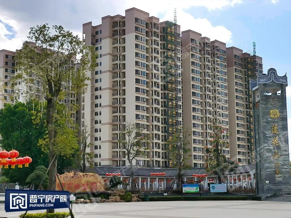 普宁最新楼盘购房指南，详解购房步骤与选择建议