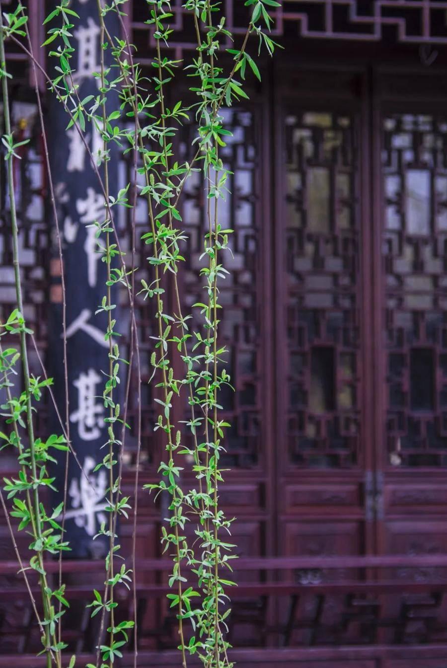 临清最新临时招工，自然美景探索之旅的邀请