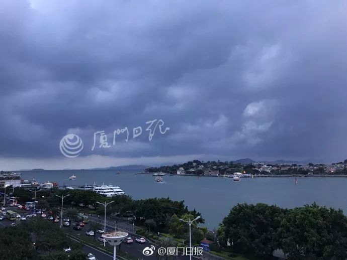 厦门台风最新预报，风暴之眼下的鹭岛风云纪事