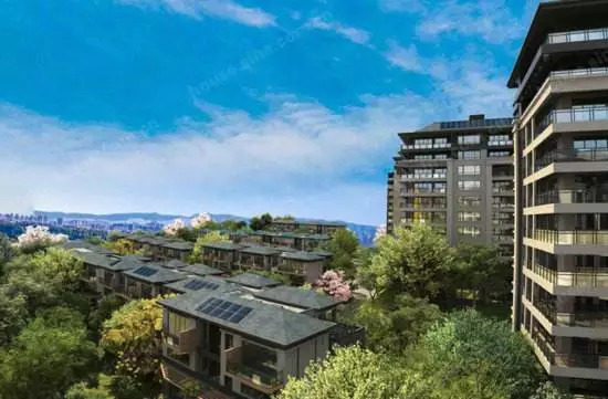最新房地产网与探索自然美景，内心的平和之旅