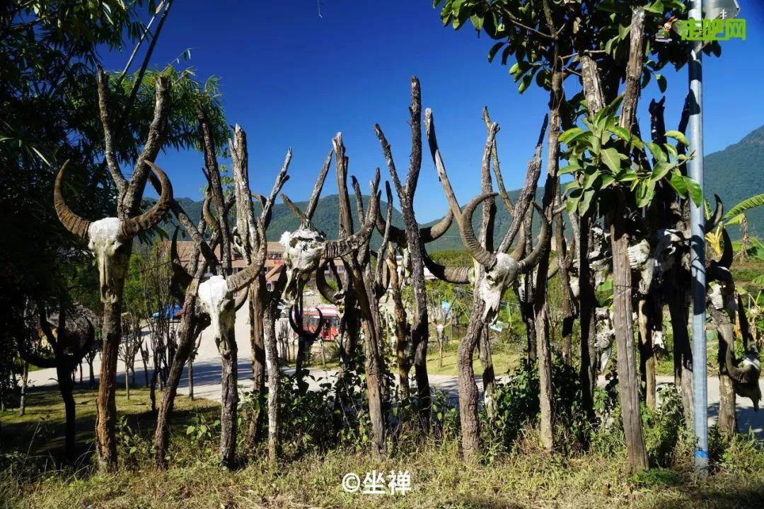 自然探索之旅