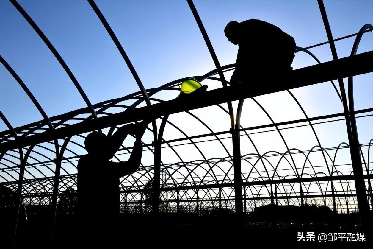 邹平最新新闻报道汇总