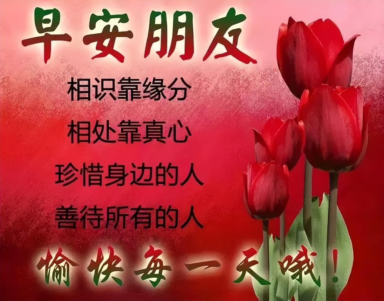 微信更新指南，温馨趣味日常中的版本升级故事