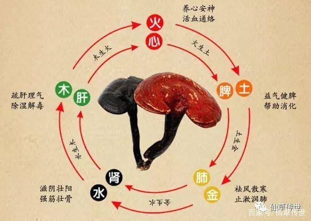 北京最新型病毒肺炎，小巷深处的独特风味与挑战