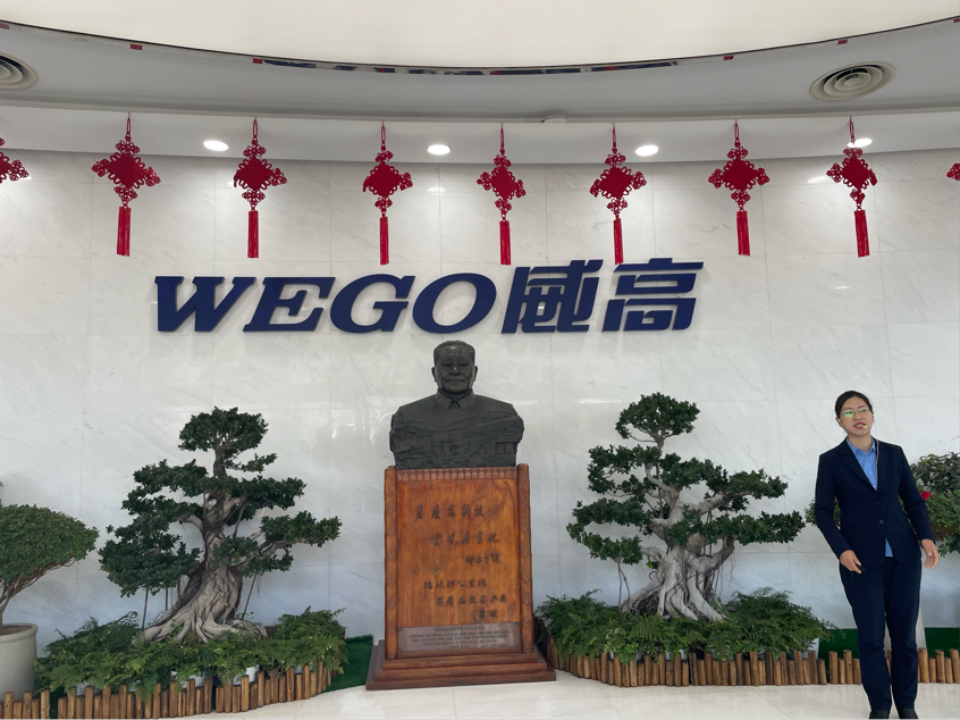 威高集团最新事件概述
