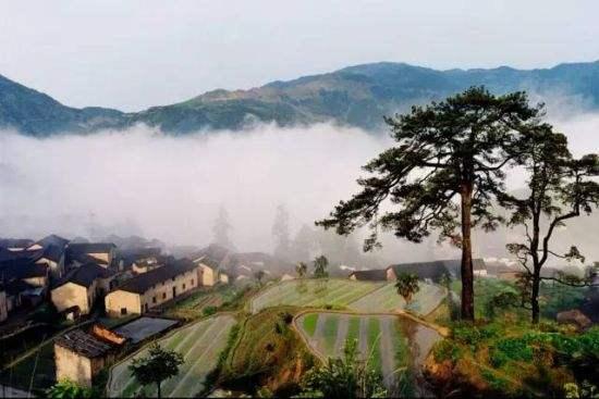 西安道路最新动态，巷弄深处的美食秘境探索之旅