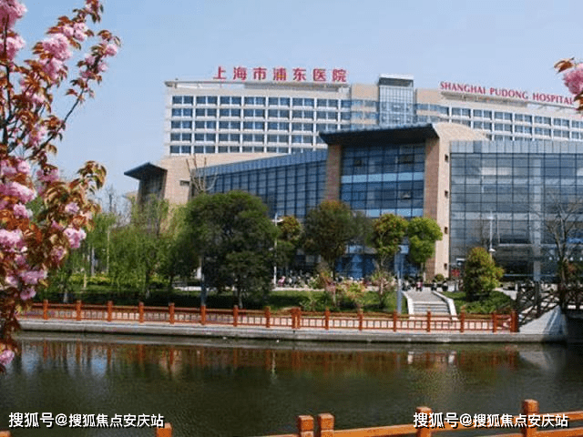 直播平台排行榜最新更新，深度分析与观点阐述