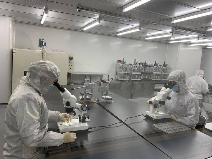 探索生命科学前沿，最新生物发展概览