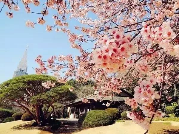最新国际油价报告与美景旅行探索