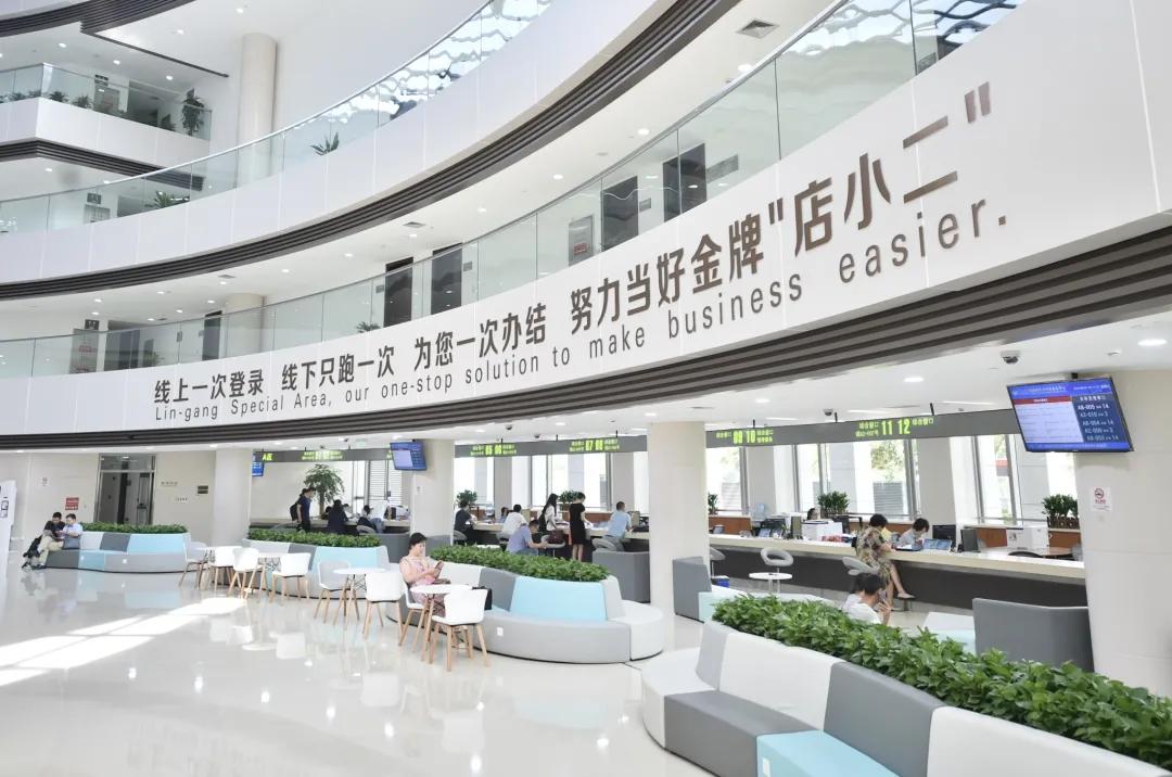 澳大利亚独特魅力与发展动态揭秘，最新报道一网打尽