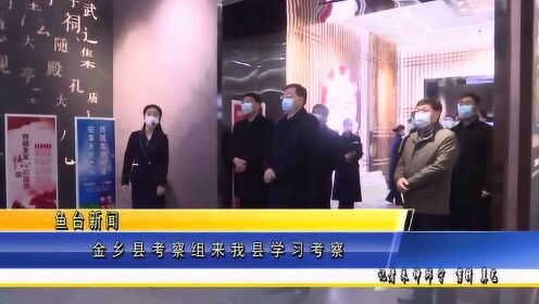 金乡新闻视频最新动态更新速递