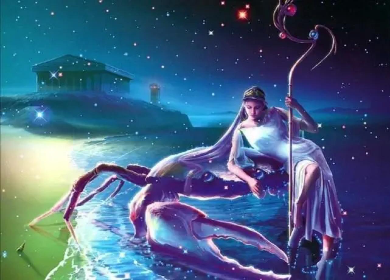 最新星座运势概览，星辰之光为你揭晓未来运势✨