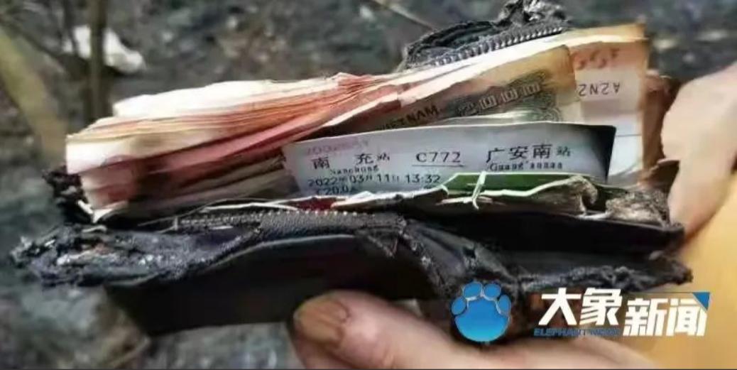 黑匣子译码最新情况详解，最新进展与论述汇总分析