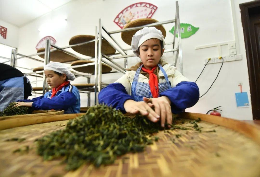 广西巡视组最新动态，深度解读巡视动态，共谱发展新篇章